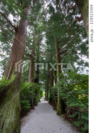 高天彦神社 参道(奈良県御所市) 高天彦神社 参道(奈良県御所市) 129523304