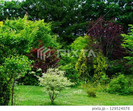 十勝ヒルズ　北海道 129524078