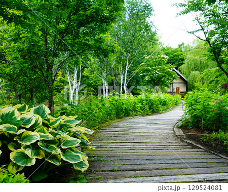 十勝ヒルズ　北海道 129524081