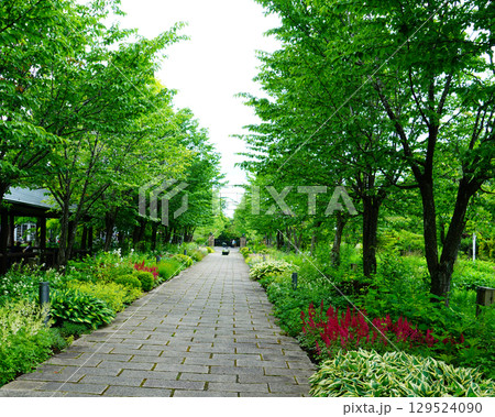 十勝ヒルズ 北海道 十勝ヒルズ 北海道 129524090