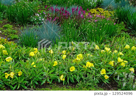 十勝ヒルズ 北海道 十勝ヒルズ 北海道 129524096