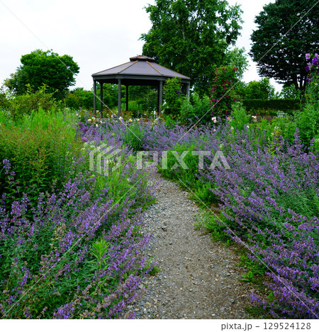 十勝ヒルズ　北海道 129524128