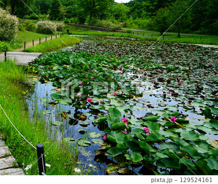 十勝ヒルズ　北海道 129524161