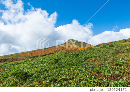 秋の栗駒山登山（裏掛コース分岐～東栗駒山：栗駒山の眺め） 129524172