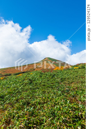 秋の栗駒山登山（裏掛コース分岐～東栗駒山：栗駒山の眺め） 129524174