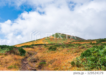 秋の栗駒山登山（産沼～東栗駒山：裏掛コース分岐付近から栗駒山の眺め） 129524179