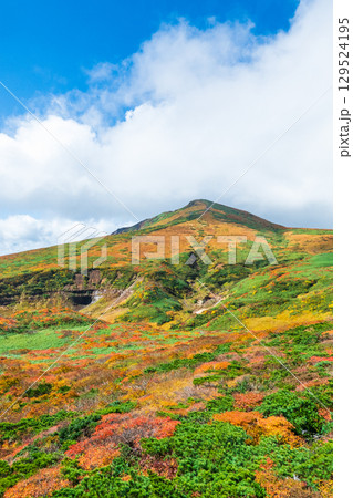 秋の栗駒山登山(東栗駒山から栗駒山の眺め) 秋の栗駒山登山(東栗駒山から栗駒山の眺め) 129524195