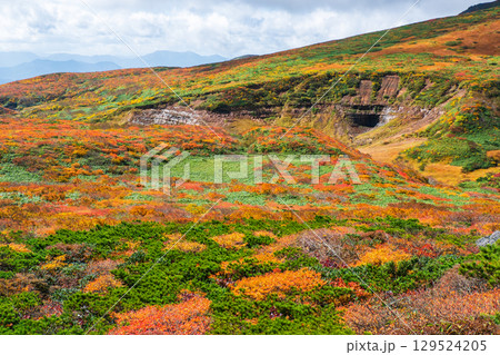 栗駒山の紅葉 129524205