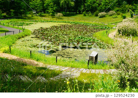十勝ヒルズ　北海道 129524230