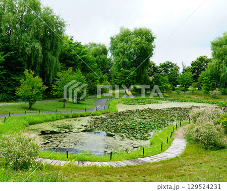十勝ヒルズ 北海道 十勝ヒルズ 北海道 129524231