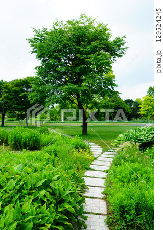 十勝ヒルズ 北海道 十勝ヒルズ 北海道 129524245