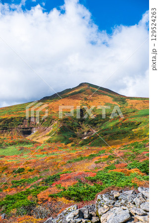 秋の栗駒山登山(東栗駒山から栗駒山の眺め) 秋の栗駒山登山(東栗駒山から栗駒山の眺め) 129524263