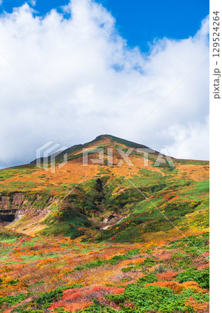 秋の栗駒山登山（東栗駒山から栗駒山の眺め） 129524264