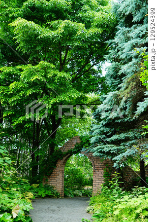 上野ファーム　北海道 129524399