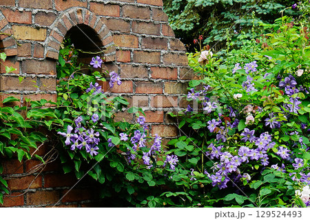 上野ファーム　北海道 129524493