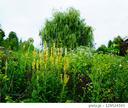 上野ファーム　北海道 129524503