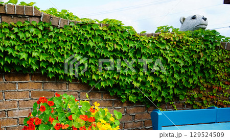 上野ファーム 北海道 上野ファーム 北海道 129524509