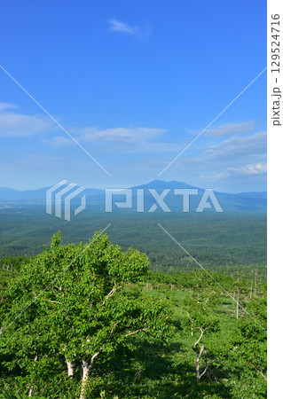 ハイランド小清水725 ハイランド小清水725 129524716