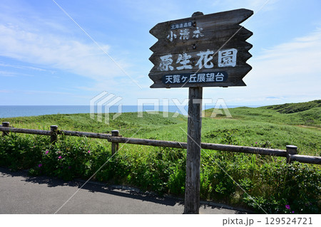 小清水原生花園 129524721