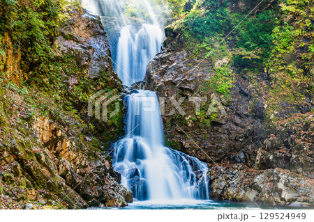 山形　逆光に輝く白布大滝　 129524949