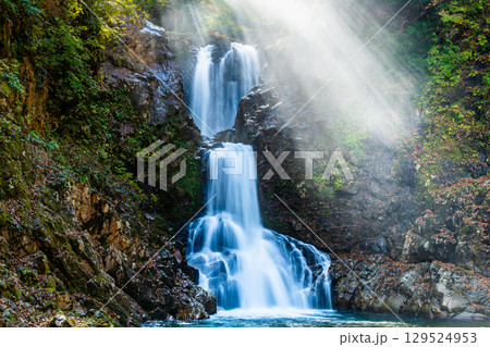 山形　逆光に輝く白布大滝　 129524953