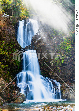山形　逆光に輝く白布大滝　 129524955
