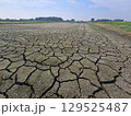 水不足の水田 129525487