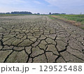 水不足の水田 129525488