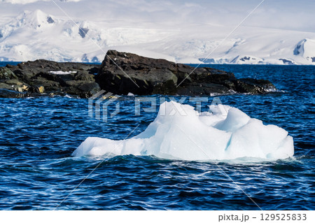 Antarctic landscape near Mikkelsen Harbour 129525833