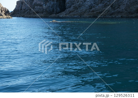 鳥取　四季の散歩　夏　松島　遊覧船 129526311