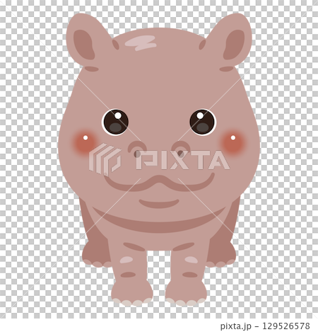 正面から見たカバのイラスト 129526578