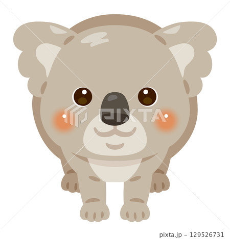 正面から見たコアラのイラスト 129526731
