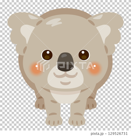 正面から見たコアラのイラスト 129526731