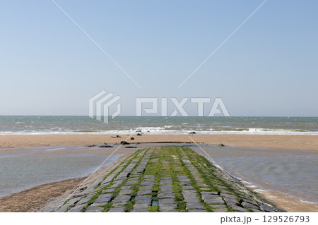 Coastal Pathway Leading to Sea 129526793