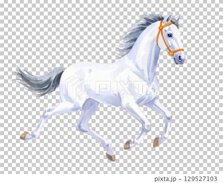 馬插畫素材 129527103