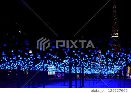 さっぽろホワイトイルミネーション 大通公園 129527663
