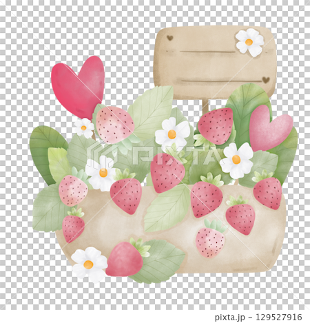 Strawberry plant in the pot  129527916