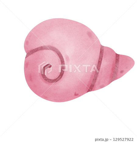 Pink seashell 129527922