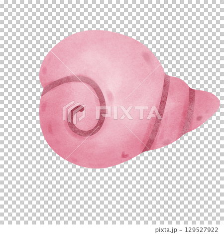 Pink seashell 129527922