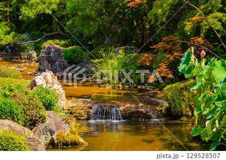 【京都風景】退蔵院 枯山水と池泉回遊式の優美な2種類の庭園 【京都風景】退蔵院 枯山水と池泉回遊式の優美な2種類の庭園 129528507