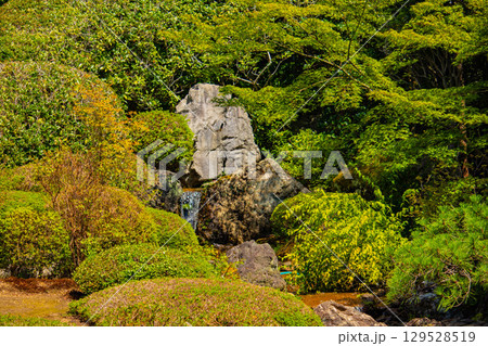 【京都風景】退蔵院 枯山水と池泉回遊式の優美な2種類の庭園 【京都風景】退蔵院 枯山水と池泉回遊式の優美な2種類の庭園 129528519
