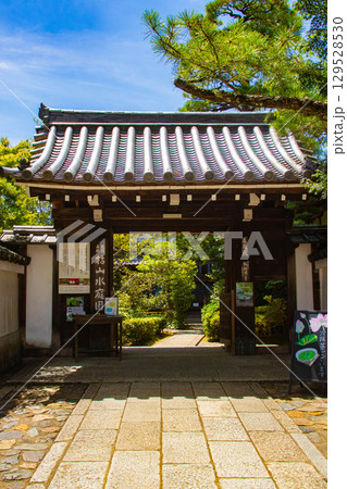 【京都風景】退蔵院 枯山水と池泉回遊式の優美な2種類の庭園 【京都風景】退蔵院 枯山水と池泉回遊式の優美な2種類の庭園 129528530