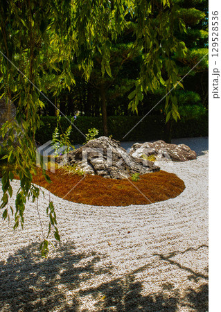 【京都風景】退蔵院 枯山水と池泉回遊式の優美な2種類の庭園 【京都風景】退蔵院 枯山水と池泉回遊式の優美な2種類の庭園 129528536