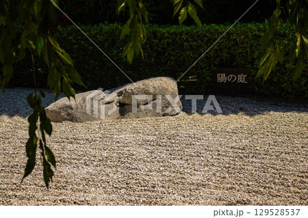 【京都風景】退蔵院 枯山水と池泉回遊式の優美な2種類の庭園 【京都風景】退蔵院 枯山水と池泉回遊式の優美な2種類の庭園 129528537