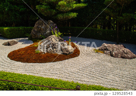 【京都風景】退蔵院　枯山水と池泉回遊式の優美な2種類の庭園 129528543