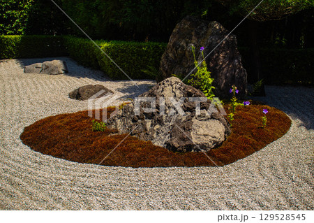【京都風景】退蔵院　枯山水と池泉回遊式の優美な2種類の庭園 129528545