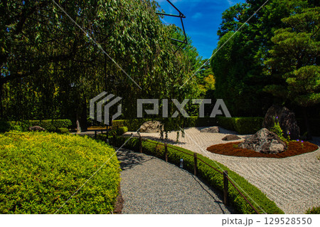 【京都風景】退蔵院　枯山水と池泉回遊式の優美な2種類の庭園 129528550