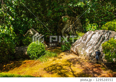 【京都風景】退蔵院　枯山水と池泉回遊式の優美な2種類の庭園 129528551