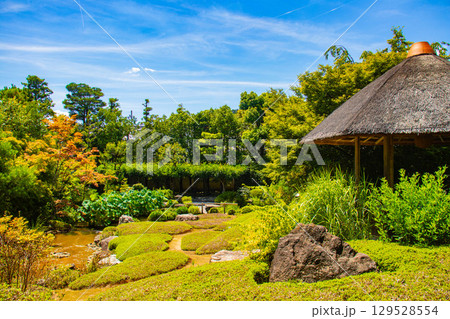 【京都風景】退蔵院　枯山水と池泉回遊式の優美な2種類の庭園 129528554