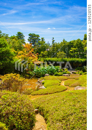 【京都風景】退蔵院 枯山水と池泉回遊式の優美な2種類の庭園 【京都風景】退蔵院 枯山水と池泉回遊式の優美な2種類の庭園 129528555